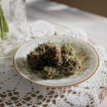 Prague is More Than a City of Historic Architecture and Vibrant Nightlife – It’s Also a Growing Hub for Cannabis Culture img-1003.jpg