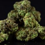 Welcome to the premier destination for premium THC‑infused chocolates in Prague img-1005.jpg