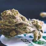 Online Hemp Shop in Prague img-111.jpg
