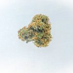 Prague’s cannabis scene is evolving rapidly, thanks to progressive cannabis legalization efforts and a growing number of licensed dispensaries. img-119.jpg