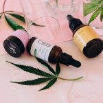 Prague Cannabis Laws & Regulations: A Guide to Buying THC Vape img-1197.jpg