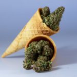 Fast Same‑Day Delivery of Fresh Cannabis in Prague img-1207.jpg
