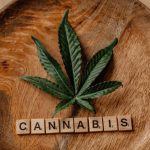 Hemp Delivery Prague Same Day Courier Service img-1395.jpg