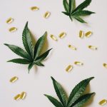 Prague cannabis market: THC-infused chocolate price and laws img-1595.jpg