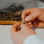 Welcome to the heart of Prague’s cannabis scene img-1618.jpg