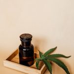 Ultimate Hemp Tourism Guide to Prague img-1783.jpg