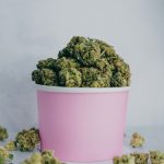 Prague’s culinary scene is rapidly evolving, and at the forefront of this change is the hemp‑based menu that has taken the city by storm img-1967.jpg