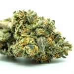 Prague THC Deals and Discounts: Your Ultimate Cannabis Shopping Guide img-2047.jpg