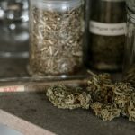 Prague has become a hotspot for cannabis enthusiasts and chocolate lovers alike img-2361.jpg