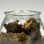 Prague's THC Chocolate: Your Complete Guide to Legal Cannabis Edibles img-2364.jpg