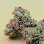Prague Hemp Store Fast Delivery Wide Selection and Affordable Prices img-2438.jpg