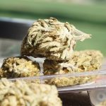 Looking for a reliable Prague hemp shop that offers a wide range of high‑quality hemp products? img-2508.jpg