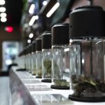 Ultimate Guide for Cannabis Lovers Exploring the Heart of Prague img-2571.jpg