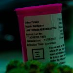 Welcome to Prague’s premier THC joint store img-2575.jpg