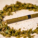 Looking to buy hemp online or order weed in Prague img-2576.jpg