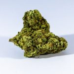Prague’s vibrant cannabis culture is growing faster than ever img-258.jpg