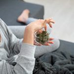 Ultimate Guide to THC Chocolate and Cannabis Products in Prague img-2719.jpg