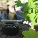 Prague weed supplier price list img-2887.jpg