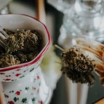 Premium THC Delivery in Prague img-2932.jpg