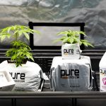 Welcome to the premier online THC shop in Prague img-3052.jpg