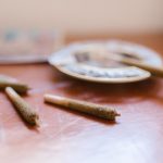 Prague Cannabis Catalog img-613.jpg