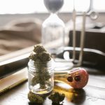 Prague cannabis guide: legal status, best places to buy, and travel tips img-654.jpg