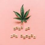 Prague is rapidly becoming a hub for hemp enthusiasts, offering a vibrant hemp culture that blends culinary innovation with sustainable sourcing img-842.jpg
