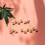 Official THC Retailer in Prague img-862.jpg