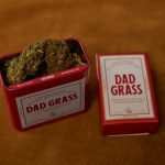 Welcome to the ultimate guide for THC-infused chocolate lovers exploring the heart of the Czech Republic img-921.jpg