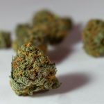 Welcome to the newest hotspot for cannabis lovers in the heart of Prague – the THC Joint img-924.jpg